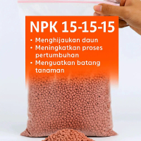 Pupuk Tanaman NPK 15-15-15 Menghijaukan Daun Memperkuat Batang Meningkatkan Proses Pertumbuhan dan H