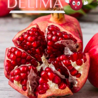 Bibit delima merah berbunga super