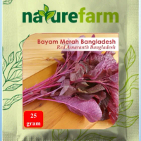 Naturefarm - Benih Bibit  Bayam Merah Bangladesh (Red Amaranth Bangladesh)