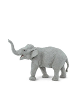 WS ASIAN ELEPHANT