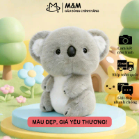 Gấu Bông Koala ôm ấm, lông mềm mại an toàn, quà tặng đáng yêu cho mọi lứa tuổi