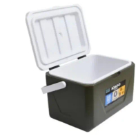 IGLOO 11Ltr Cooler Box - Hijau