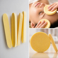DYJOOL magic skin sponge pembersih komedo