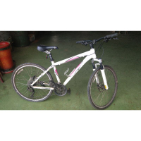 捷安特 登山車 Giant iguana disc