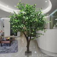 仿真榕樹大型 造型樹 植物客廳發財樹 實木樹干裝飾定做