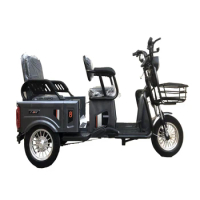 Electric Tricycle Open 3 wheels tricycle High quality 800w 60V Electric Bicycle E-Trike Scooter Tricycle for passenger