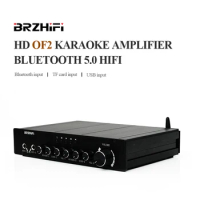 BREEZE Audio OF2 300WX2 High-power Karaoke Amplifier TPA3255 Class D Bluetooth 5.0 HIFI Professional Amp Support USB TF Card FM