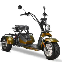 eu warehouse citycoco 2000w 3 wheel electric scooter 60v 20ah battery electric motorcycle adult electric tricycles