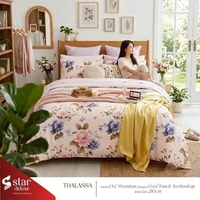 Bedcover Sprei Katun STAR Motif Collection 1 Ukuran Single 90x200 100x200 120x200 Bestseller Tinggi 