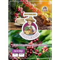 Bibit Premium Biji Kopi Robusta|Biji Bibit Kopi Robusta|Benih Biji Kopi