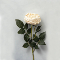 【花意空間】奶油白庭園玫瑰仿真花 3支一組(永生花 人造花 假花)