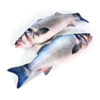 Boneka Ikan Putih untuk Prank Taruh di Dapur Meja Makan Meja Kantor