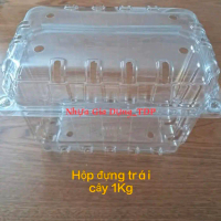Combo 50 hộp nhựa đựng trái cây loại đựng 500gr và 1Kg