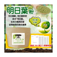 【ogaland】日本原裝明日葉青汁粉100g(綠拿鐵 超級食物 日本青汁 營養補給 天然蔬菜粉)