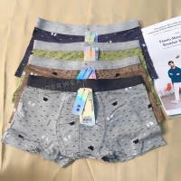 (2pcs) Celana dalam pria, boxer motif katun, Celana dalam boxer katun motif/ CD remaja laki-laki kat