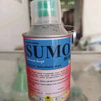 insektisida sumo 50 EC untuk mengendalikan jenis hama kutu dan ulat - 250 ml