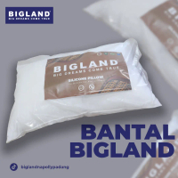BANTAL BIGLAND // SILICONE