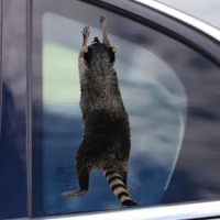 STICKER. Raccoon window sticker , animal decal, 3D sticker, funny sticker