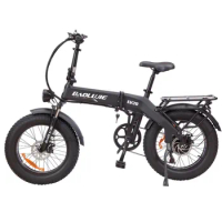 Foldable Moped 48V750W Fat Tire Electric Bike 20 Inch Folding Outdoor Best Mountain Bicycle Snow Ebike