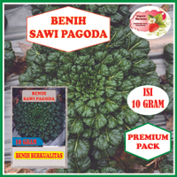 BENIH SAWI PAGODA ISI 10 GRAM