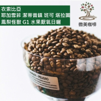 【微美咖啡】衣索比亞 耶加雪菲 潔蒂普鎮 班可 塔拉圖 鳳梨怪獸 G1 水果厭氧日曬 淺焙咖啡豆(1磅/包)