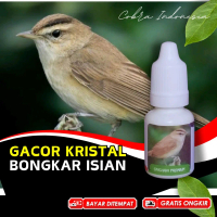 Vitamin Burung Sinchan Kerak Basi Alis Hitam