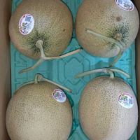 Fresh fruits inport jepang exotic premium melon jepang Oren per 1 buah