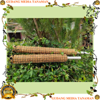 MEDIA turus sabut kelapa 40cm media tanam bunga MEDIA