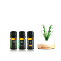 【Bonnie House 植享家】雙有機精油5ml（任選3入）＋手工鈴蘭恆溫擴香儀