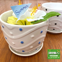 【綠色職人】點點中型花盆