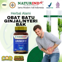 NATURINDO Urinofit obat herbal batu ginjal nyeri BAK halal bpom 50 kapsul