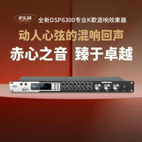 {臺灣公司貨 可打統編}麥樂迪DSP6300前級效果器專業音響k歌話筒混響器卡拉ok音頻處理