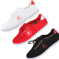 Classic Martial Art Shoe White Sneakers Canvas Wu Shu Shoe tenis masculino Taekwondo Breathable Sneakers Tai Chi Kung Fu Shoes