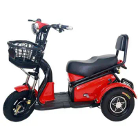Adult 3 wheel electric trike/ lithium battery electric cargo tricycle/ electric tricycle