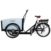 electric tricycle bike cargo 3 wheel adult three wheels electric tricycles three wheel electric cargo bicycle