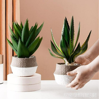北歐仿真植物蘆薈盆栽小綠植擺件裝意客廳飾創室內假花桌面小擺設 99購物節