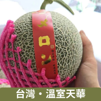 【仙菓園】台灣 溫室栽培 天華橘肉哈密瓜 四顆裝.單顆1.2kg 4.8kg±10%(常藏配送)
