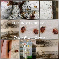 SPRAY PEPIJAT BEDBUG SPRAY