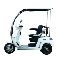 Factory Wholesale 800w 25km/h Electric Mobility Three Wheel Scooter/electric Mobility Tricycle/cheap Adult Tricycle