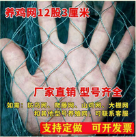 【可開發票】網子 家禽養殖網圍雞網防鳥網攔雞網尼龍網養雞網菜園圍欄網爬藤網頂網