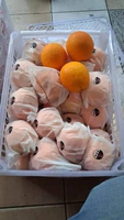 Star Buah - Jeruk Sunkist Navel RRC manis, segar, murah, berkualitas 1 kg