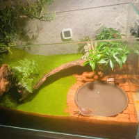 A HOT  20/40 Pieces Step Bricks Turtle Tank Landscaping DIY Mini Decorations for Aquarium Ornaments 
