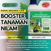 Pupuk organik Nilam Penambah Minyak,Pupuk tanaman Nilam,Pupuk Cair Untuk Nilam,Obat Untuk Tanaman Ni