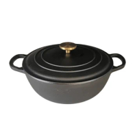 26cm Cast Iron Stew Pot with Lid Multifunction Cookware