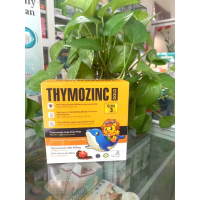 Siro tăng đề kháng thymozin C gold sun 3