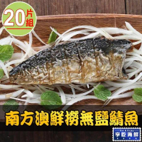 【愛上海鮮】南方澳鮮撈無鹽鯖魚20片組(2片裝/110-120g/片)