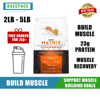 SYNTRAX Matrix 2LB/5LB Protein Powder (Free Shaker + Creatine)| Egg, Casein & Whey [Racepack.sg]