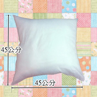 棉芯 棉心 方型抱枕心 45x45公分【老婆當家】