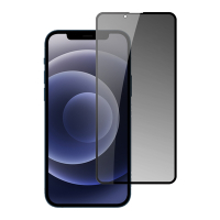 iPhone 13 mini 滿版高清防窺9H玻璃鋼化膜手機保護貼 13mini保護貼