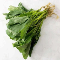 Kailan Hidroponik 250 gram